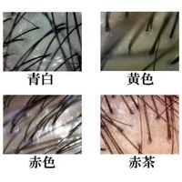 画像1375