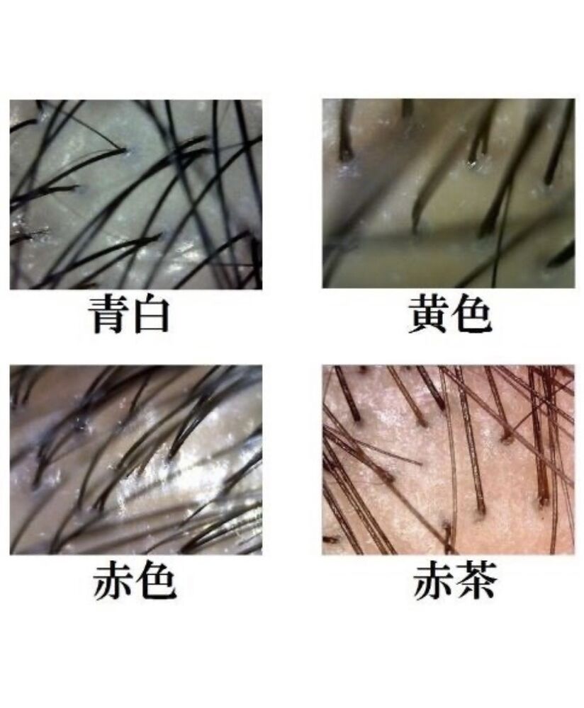画像1375