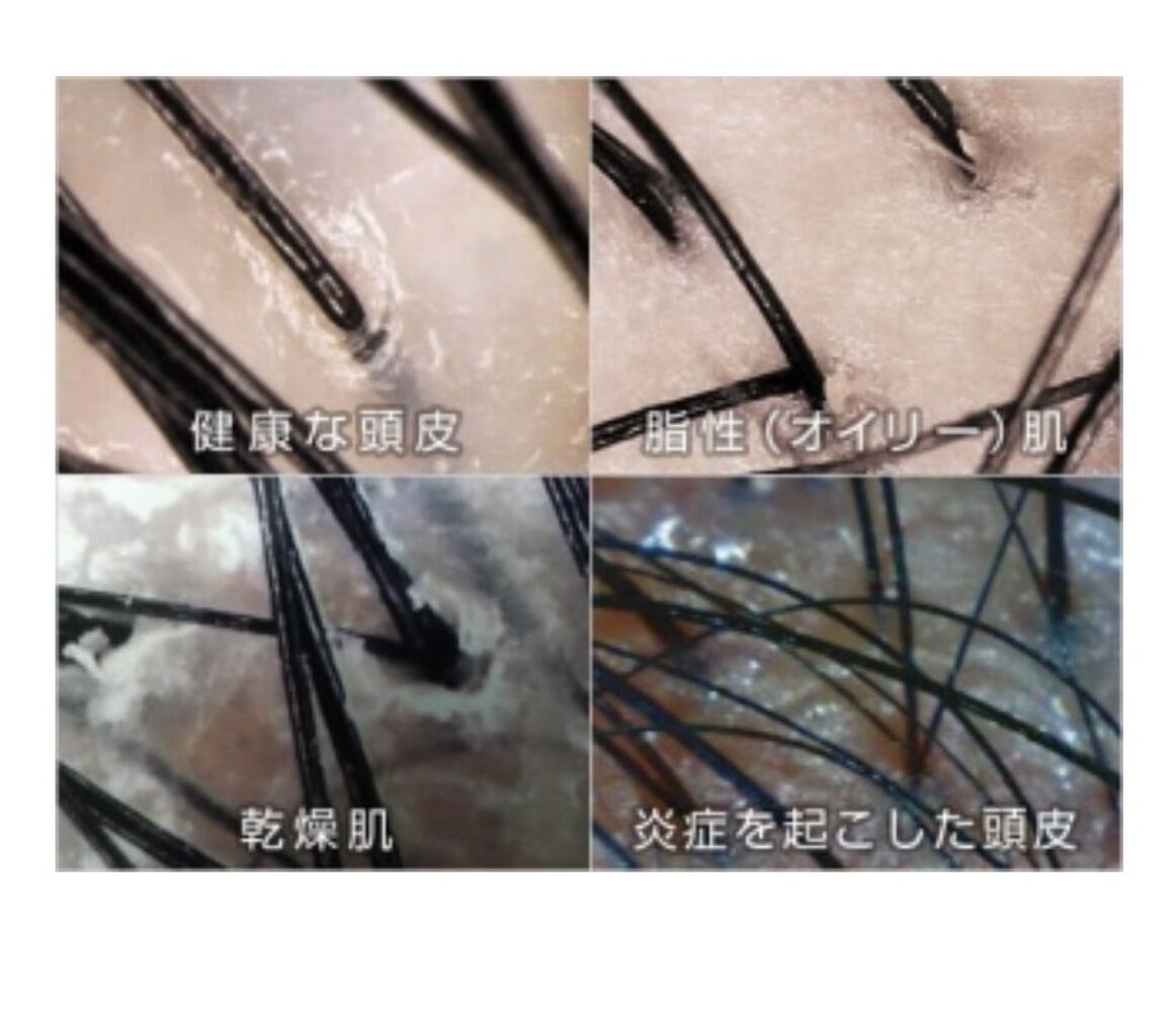 画像1376