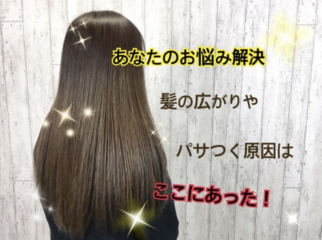 画像1570