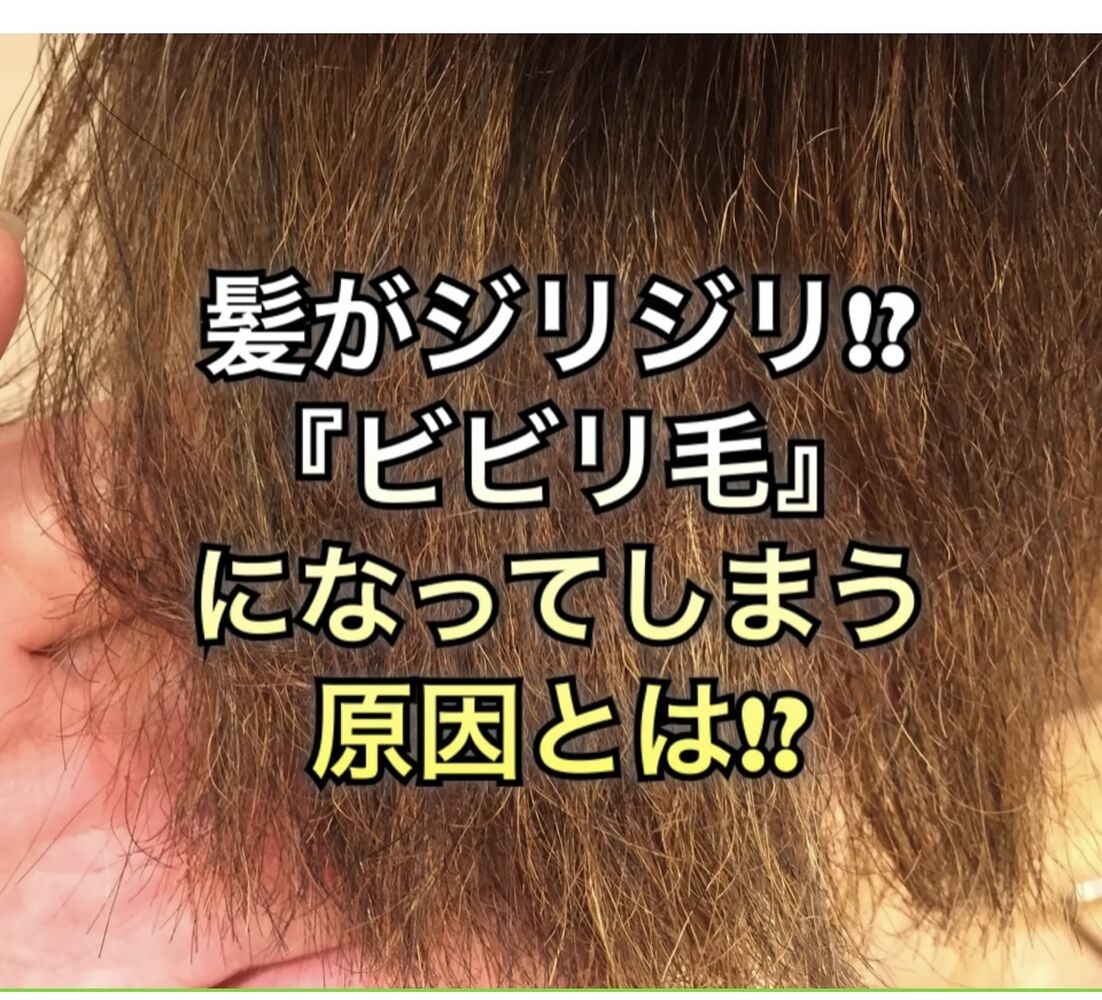 画像1993