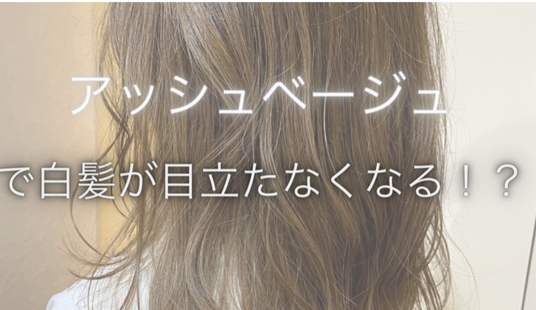 画像2066